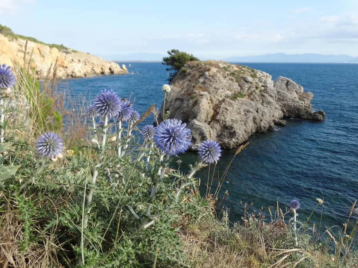 Apartamento Punta Montgo Port De Rei L' Escala
